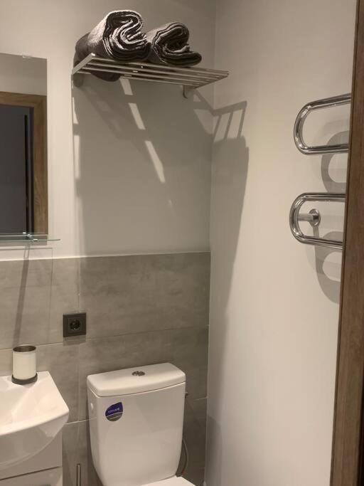 Apartment Near Ozas Вильнюс Экстерьер фото